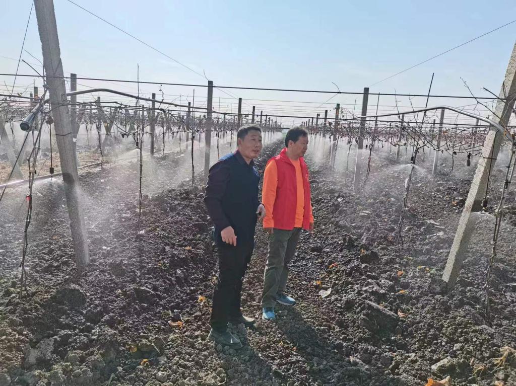 谈球吧app下载