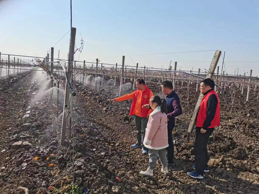 谈球吧app下载