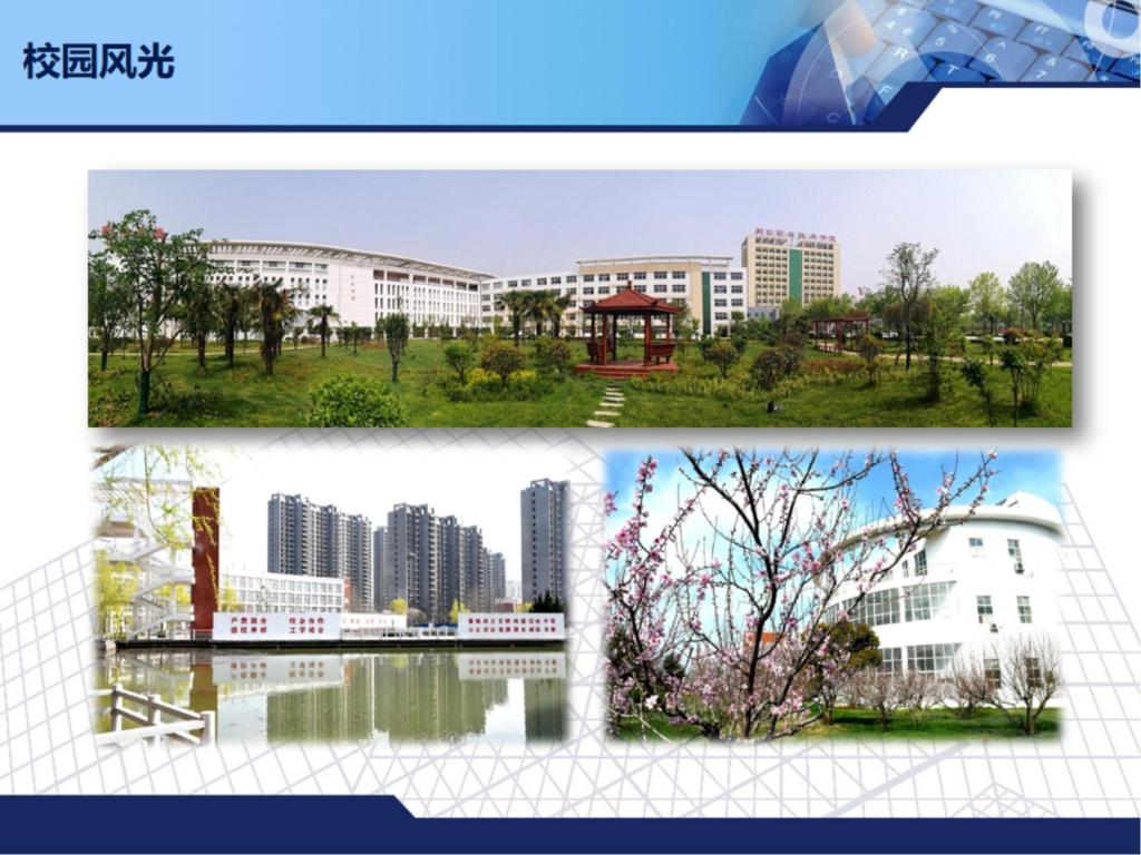 谈球吧app下载
