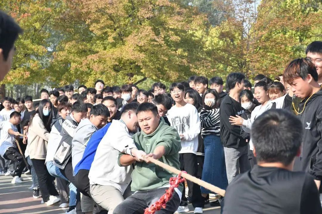 谈球吧app下载